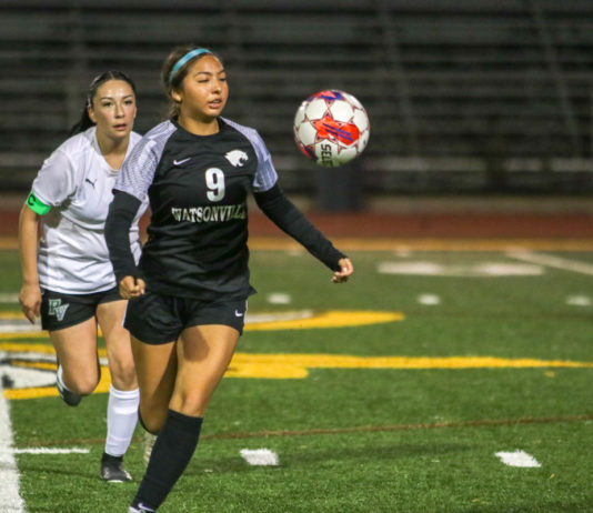 ‘Catz aim to compete for shot at league title | Girls soccer