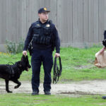 Image for display with article titled Multiple shots fired into vehicle, two detained, gun recovered