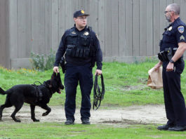watsonville police shooting investigation