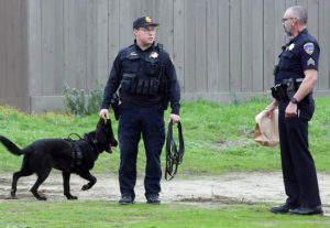 Multiple Shots Fired Into Vehicle, Two Detained, Gun Recovered