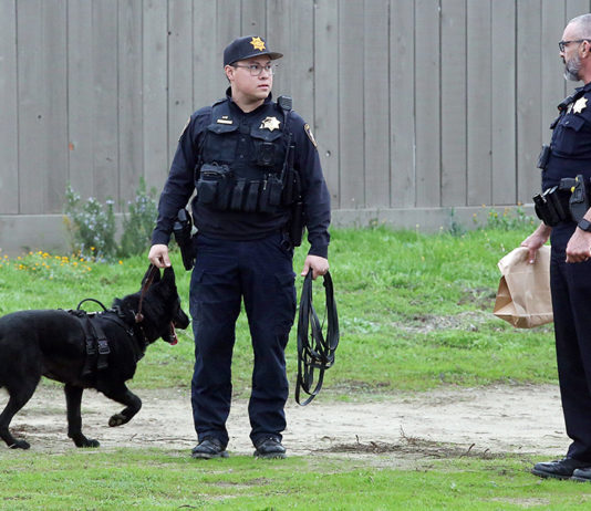 Multiple shots fired into vehicle, two detained, gun recovered watsonville police shooting investigation