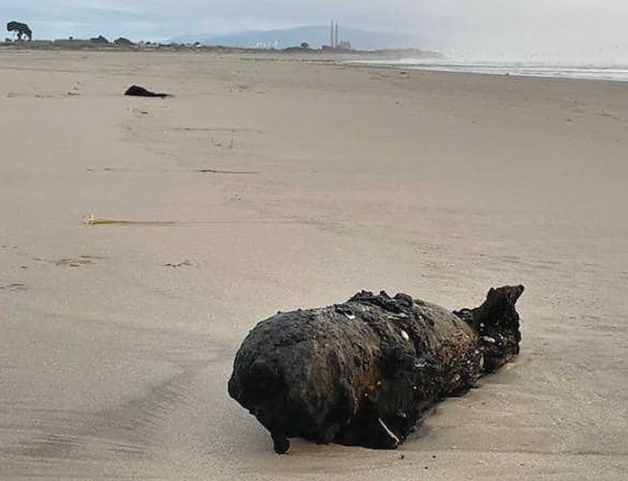 military ordnance pajaro dunes