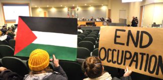 watsonville city council meeting