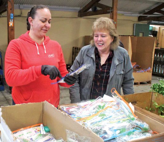 New program offers dental care, hygiene kits to seniors dientes grey bears