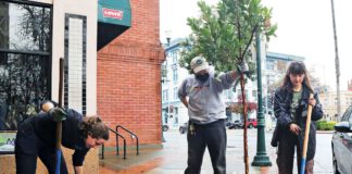 downtown watsonville tree planting