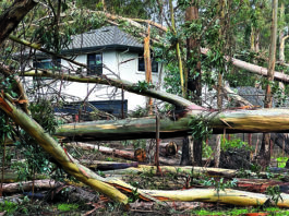 Forecast calls for clearing skies on weekend, rain late next week