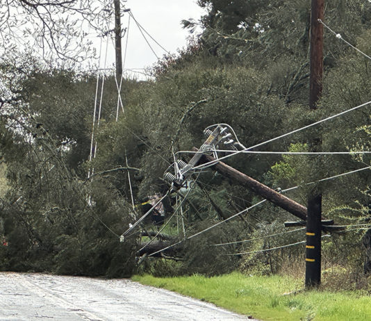 Powerful winds topple trees and power lines, prompt tornado warning