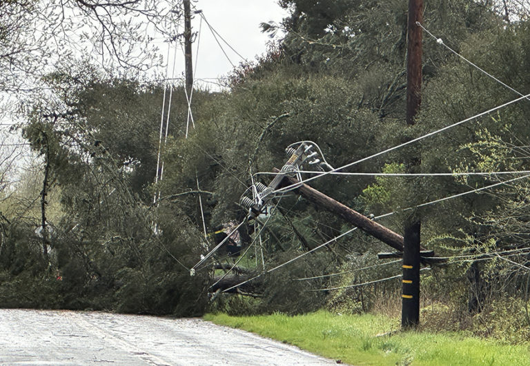 Powerful winds topple trees and power lines, prompt tornado warning