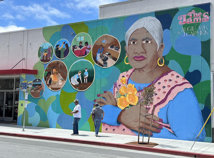 Image for display with article titled Community Bridges Celebrates New Downtown Mural