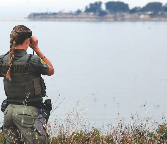 Bigger fines in SC County for fireworks violations