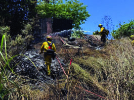 Watsonville firefighters quickly quell fire