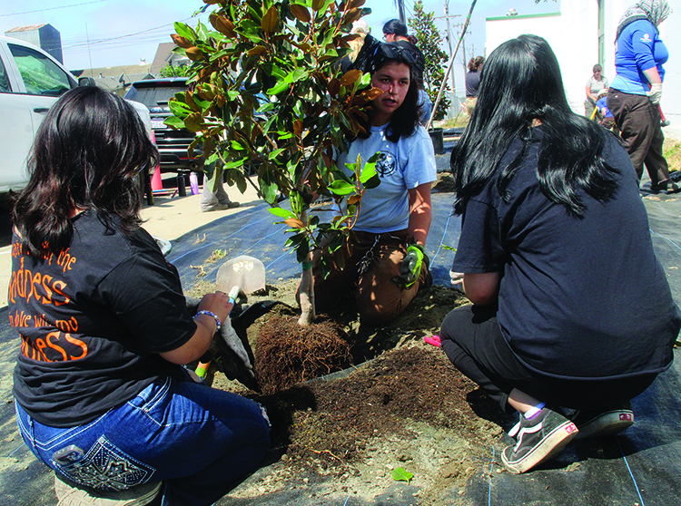 Image for display with article titled Growing Roots at Pajaro Middle School
