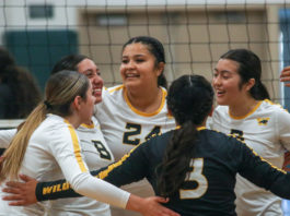 Veterans prepared to lead experienced ‘Catz squad | PCAL girls volleyball