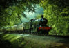 Old steam train going through forest