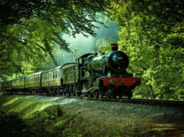 Old steam train going through forest