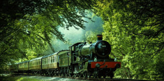 Old steam train going through forest