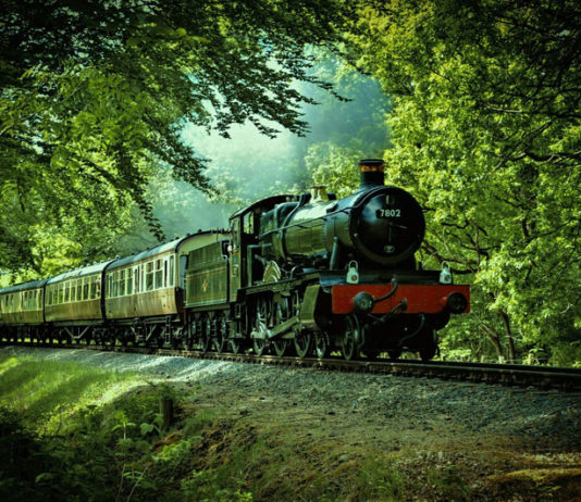 Old steam train going through forest