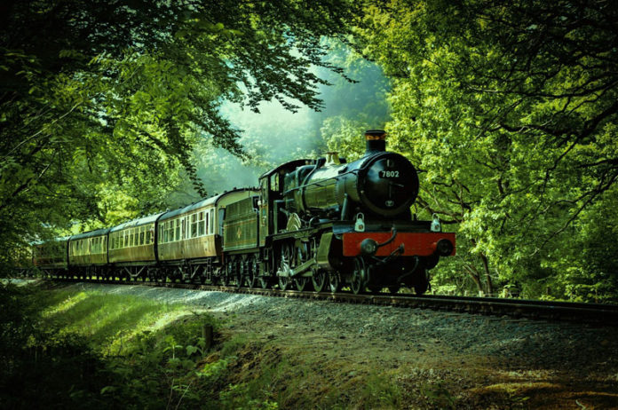 Old steam train going through forest