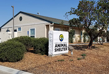 Image for display with article titled Contagious Diseases Force Temporary Closure of Watsonville Animal Shelter