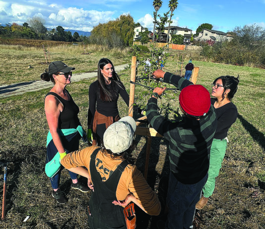 Students help spruce up Struve Slough