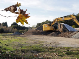 Skatepark coming to Pinto Lake County Par