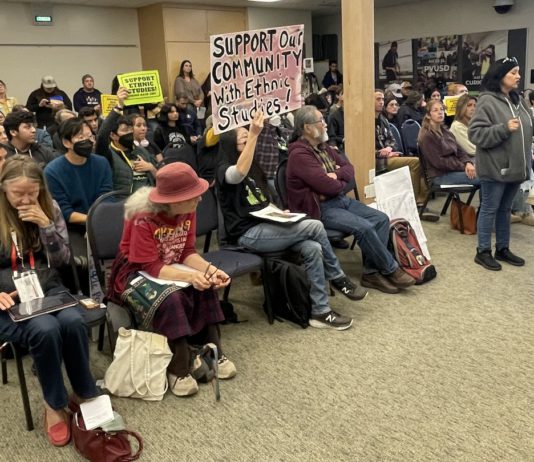 PVUSD to hold special ethnic studies session