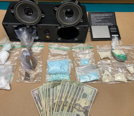 Police K9 helps nab Watsonville Fentanyl suspect