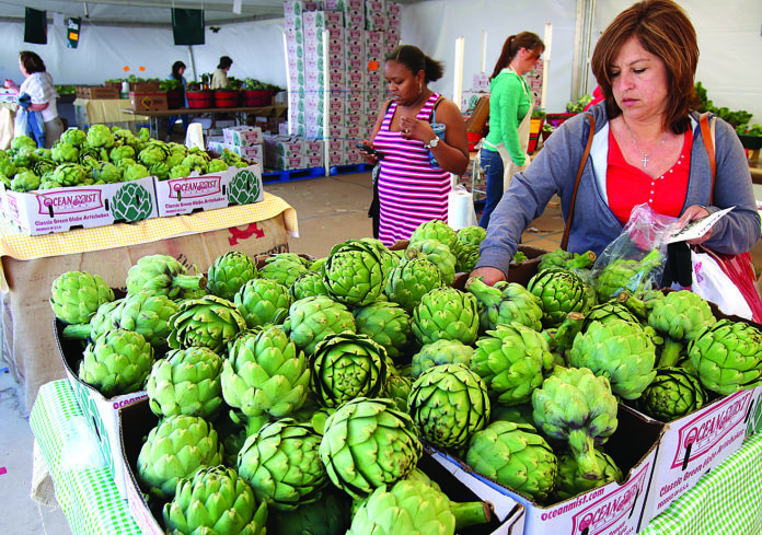artichoke fest file