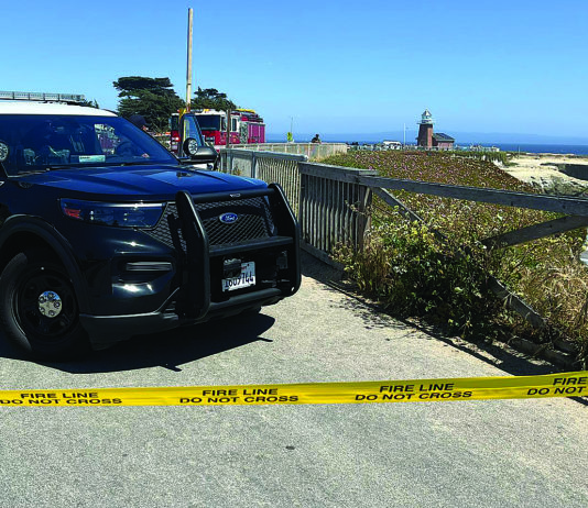 Body of missing UCSC student found, ID’d