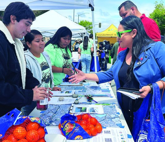 Getting down to earth