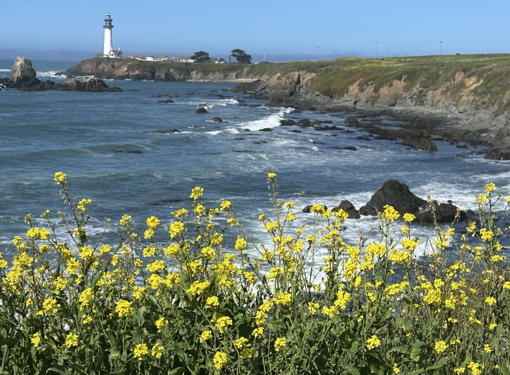 Image for display with article titled Taking in a Slice of Half Moon Bay