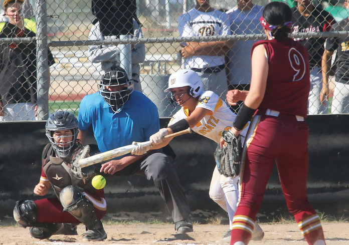 paj2520 WHS softball_Weeklys Sports Roundup-web-1