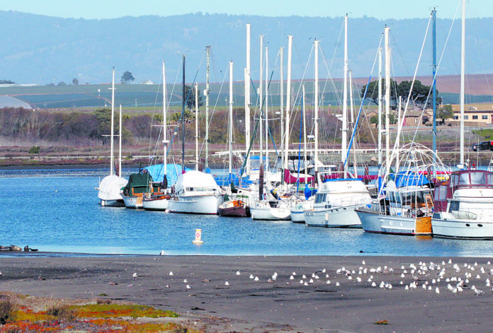 moss land harbor 1