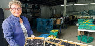 Woman holding a flat of berries in a berry warehouse