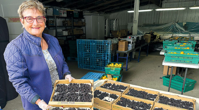 Woman holding a flat of berries in a berry warehouse