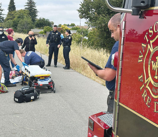 Police and paramedics at the scene of an accident