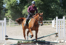 Rider on a horse jumping over a low obstacle