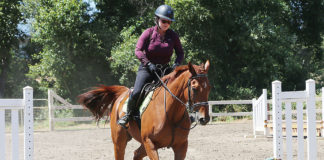 Rider on a horse jumping over a low obstacle