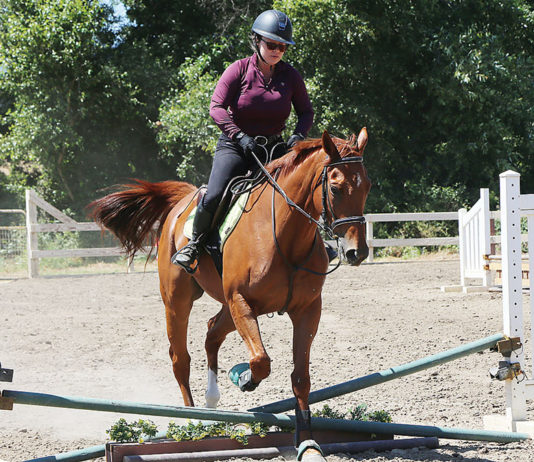 Rider on a horse jumping over a low obstacle