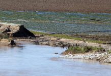 Flooded agricultural field