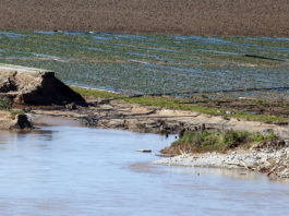Flooded agricultural field