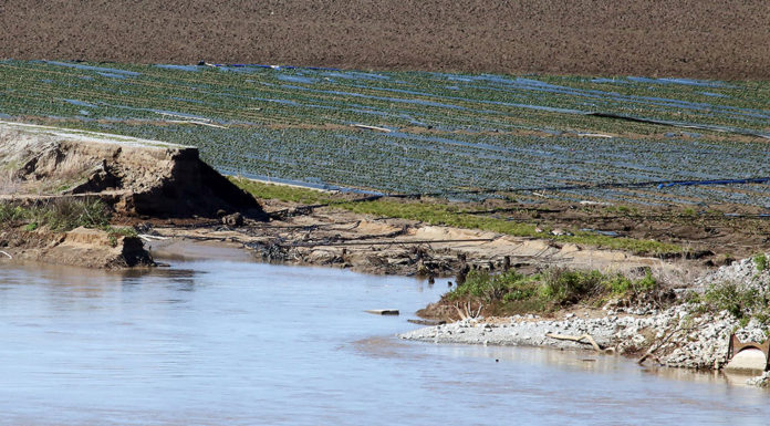 Flooded agricultural field