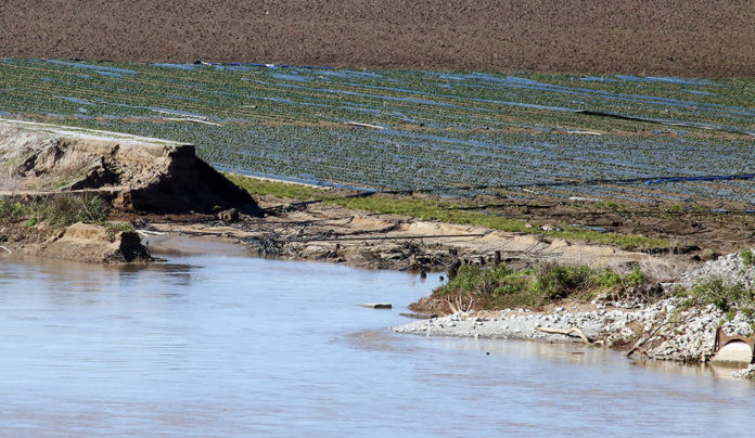 Flooding on Pajaro River levee Flooded agricultural field