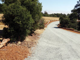 Winding road out in the country