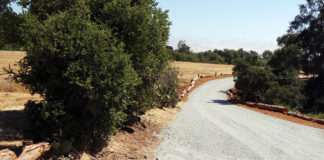 Winding road out in the country