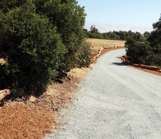 Winding road out in the country