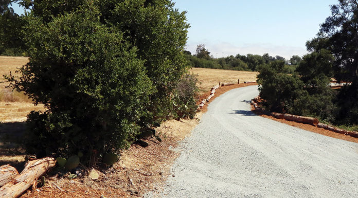 Winding road out in the country