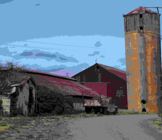 The tunes and flavors of Petaluma