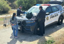 Watsonville police arrest a bank robbery suspect