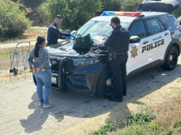 Watsonville police arrest a bank robbery suspect